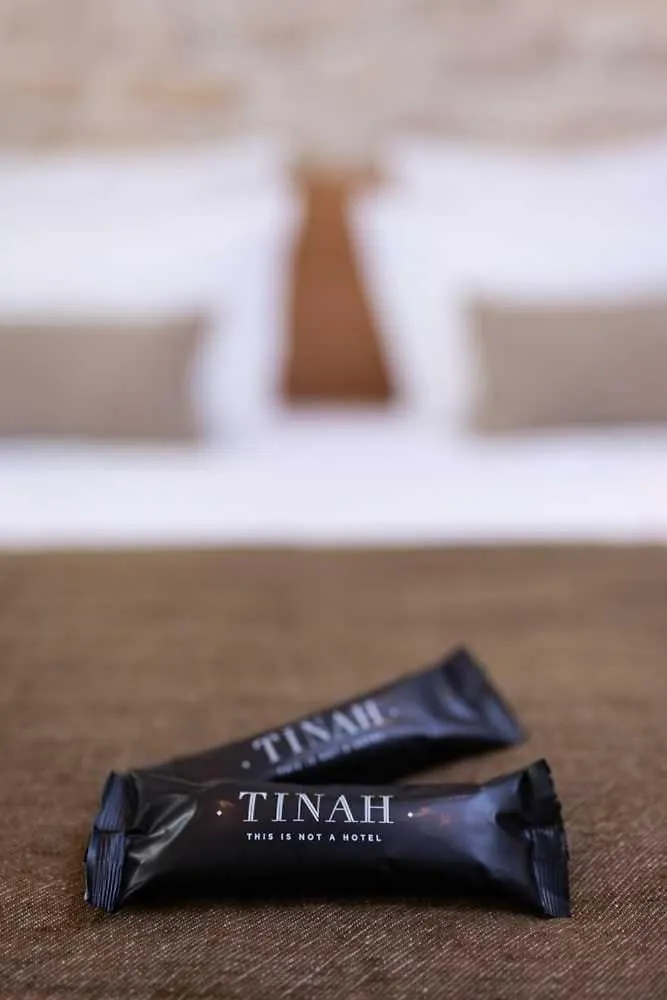 Tinah Paris, Champs Elysees Hotel